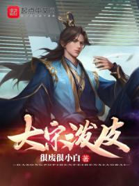 大宋泼皮封面